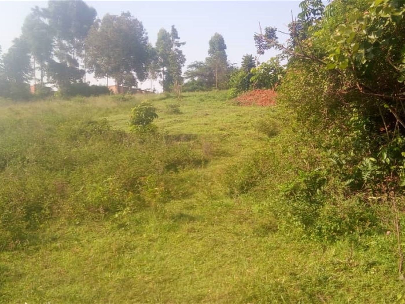 Commercial Land for sale in Kigoggwa Wakiso