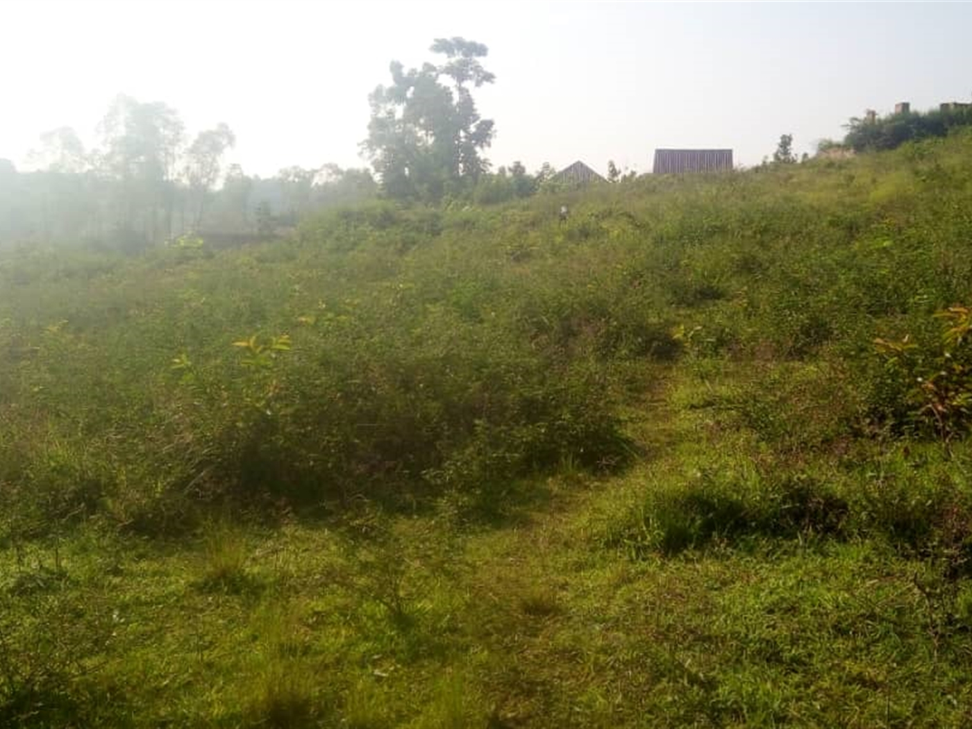 Commercial Land for sale in Kigoggwa Wakiso