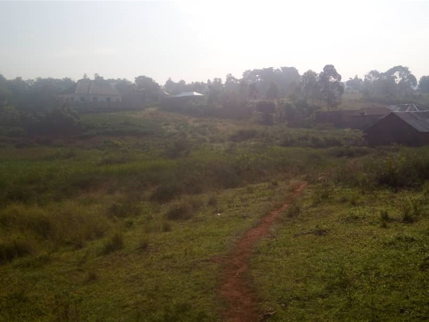 Commercial Land for sale in Kigoggwa Wakiso