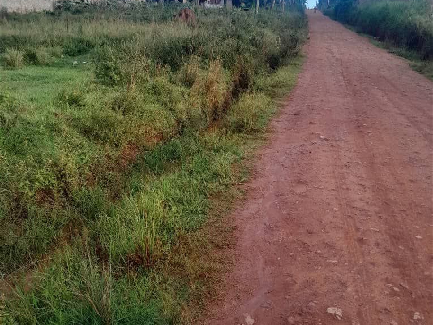 Residential Land for sale in Nakweello Wakiso