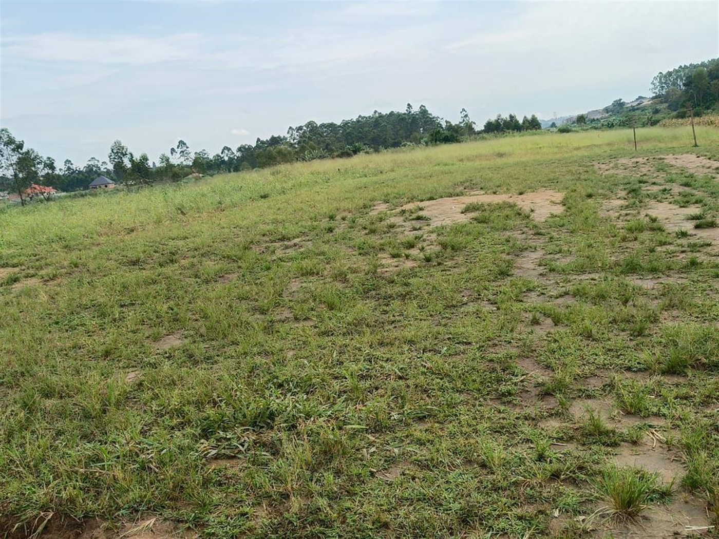 Residential Land for sale in Kitukutwe Wakiso