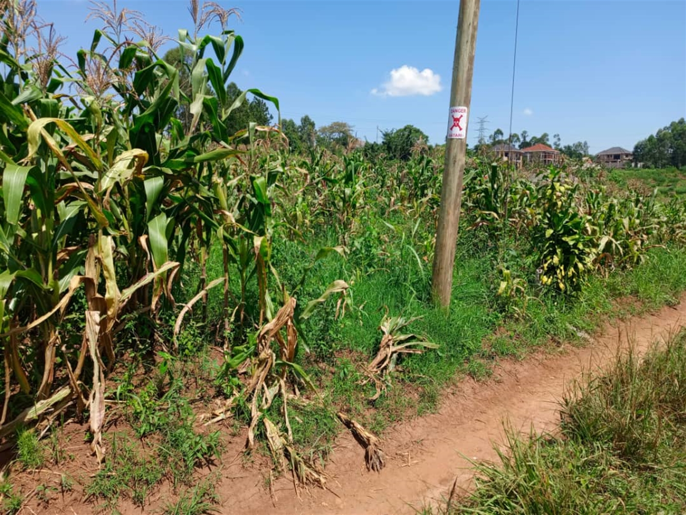 Residential Land for sale in Nabusugwe Mukono