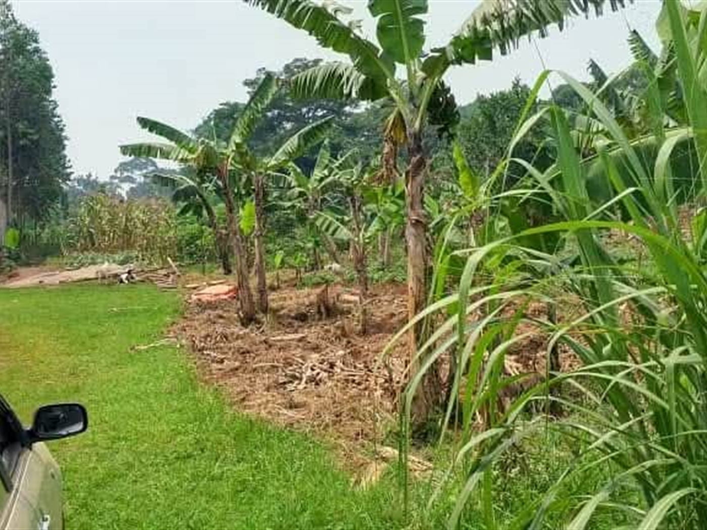 Residential Land for sale in Namilyango Mukono