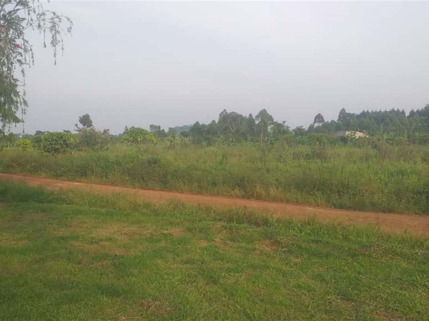 Agricultural Land for sale in Kamengo Mpigi