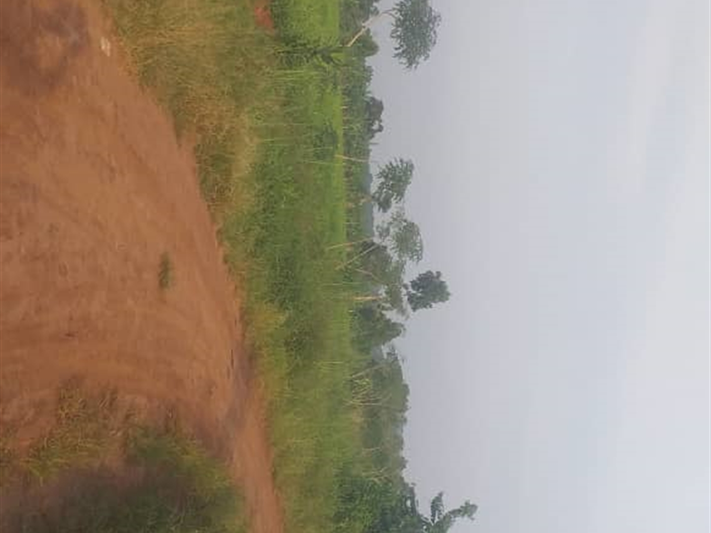 Agricultural Land for sale in Kamengo Mpigi