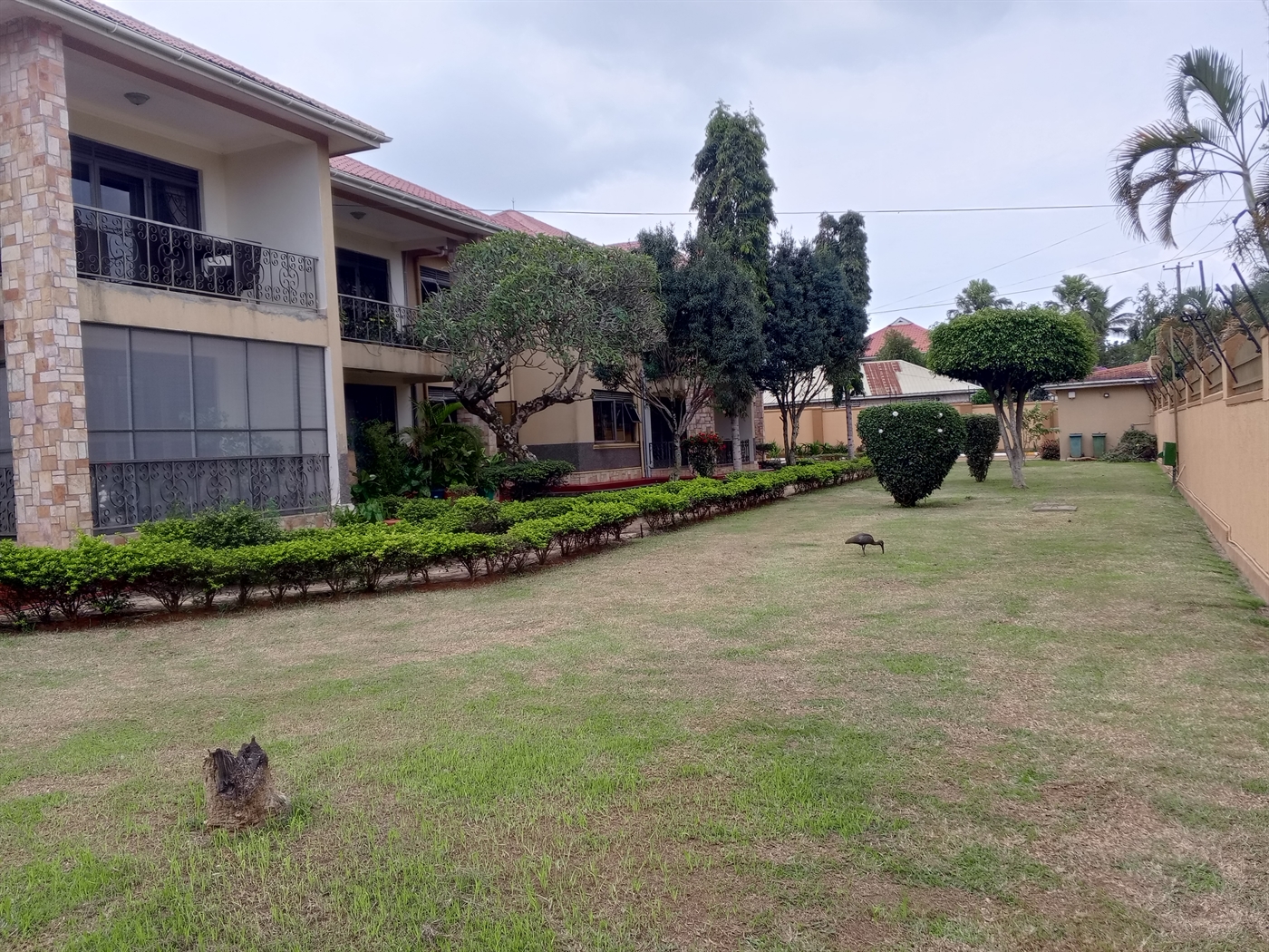 Apartment for rent in Entebbe Wakiso