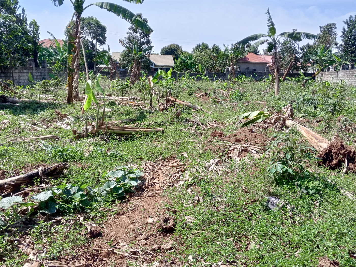 Residential Land for sale in Entebbe Wakiso