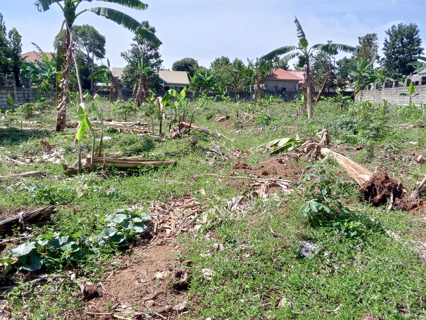 Residential Land for sale in Entebbe Wakiso