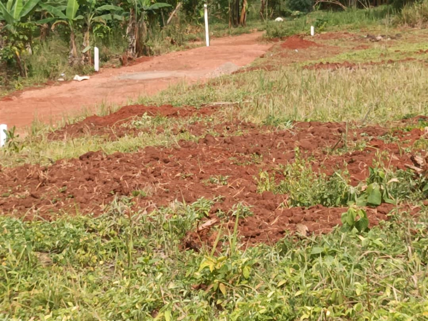 Residential Land for sale in Entebbe Wakiso