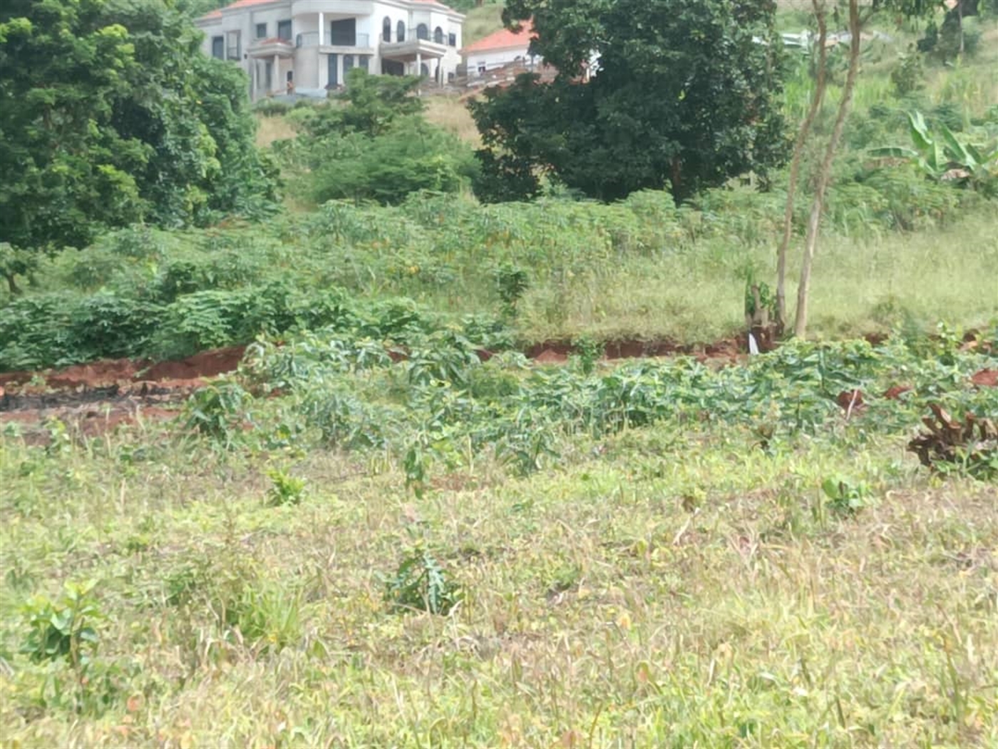 Residential Land for sale in Entebbe Wakiso