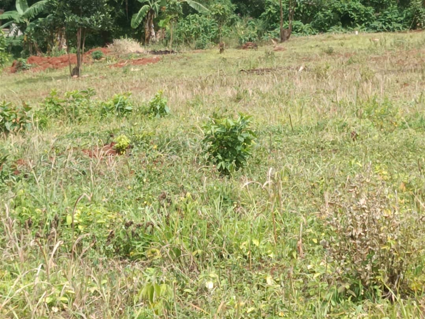 Residential Land for sale in Entebbe Wakiso