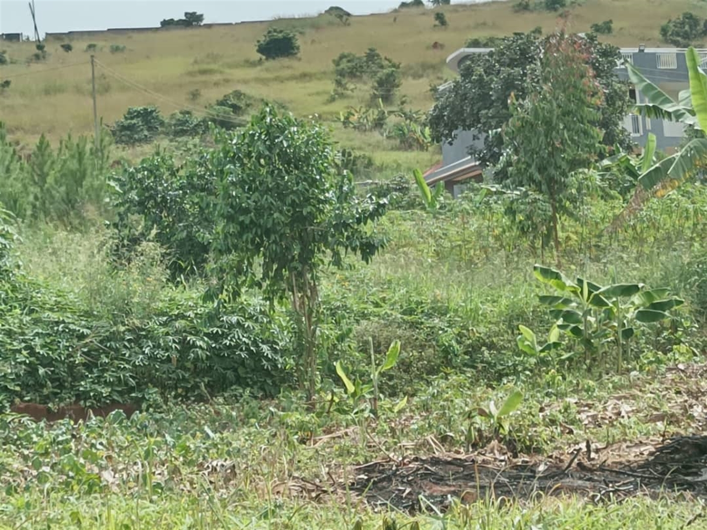 Residential Land for sale in Entebbe Wakiso