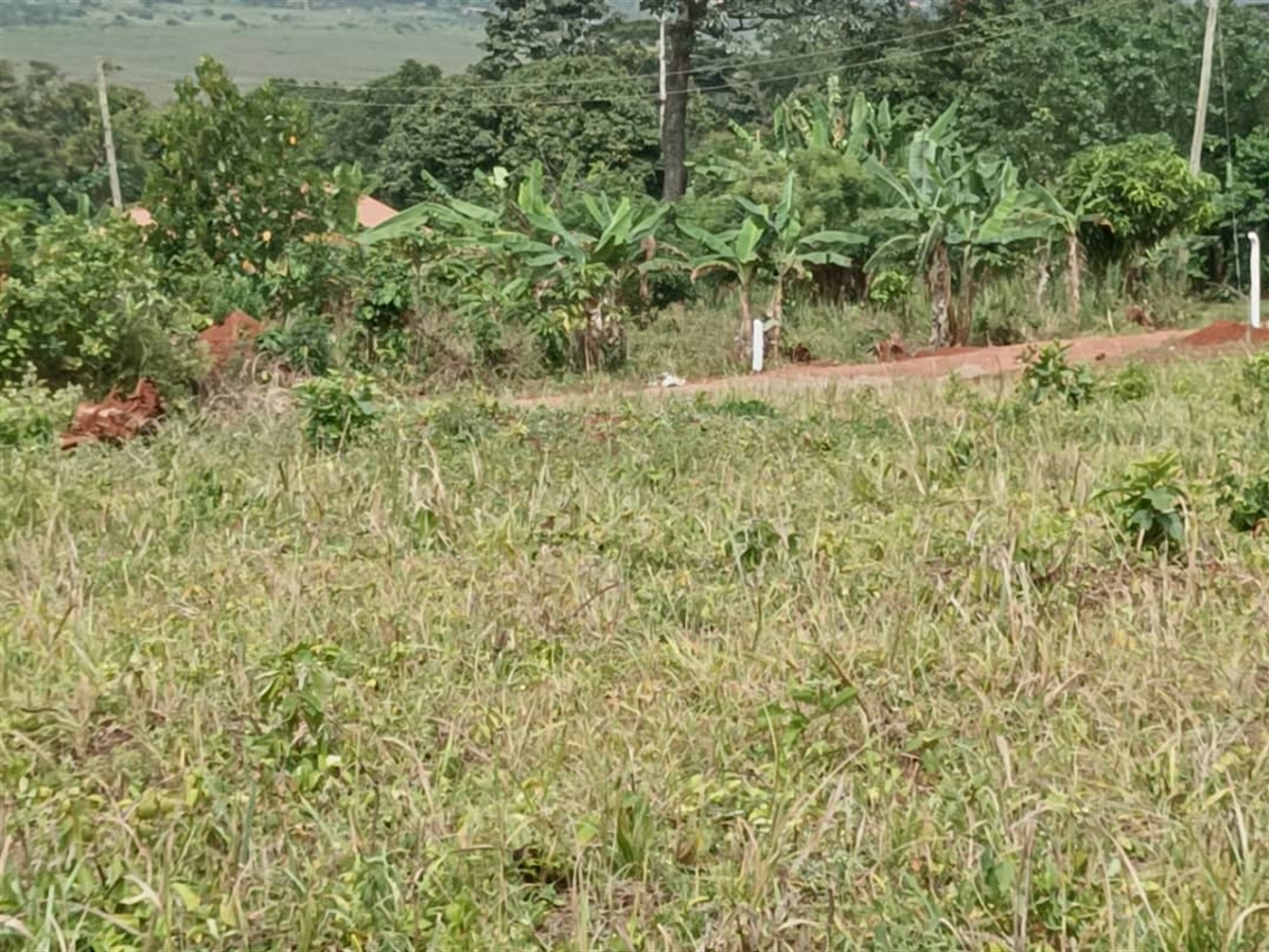 Residential Land for sale in Entebbe Wakiso