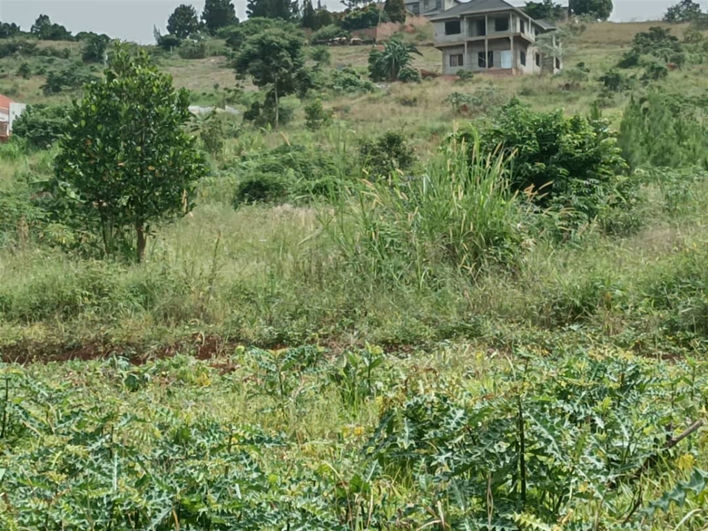 Residential Land for sale in Entebbe Wakiso