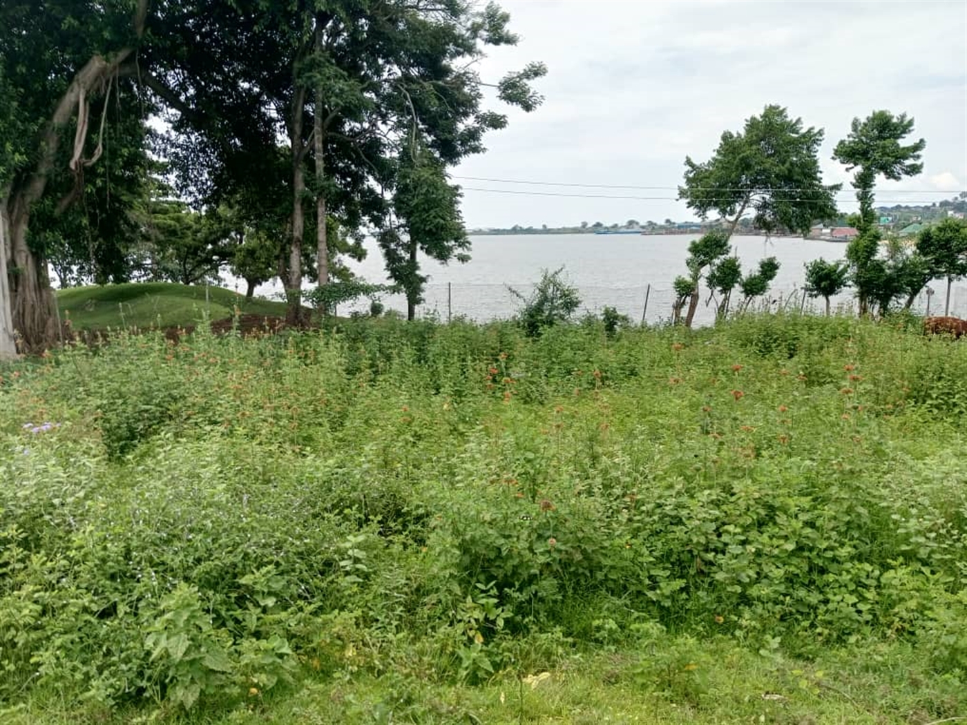 Residential Land for sale in Entebbe Wakiso