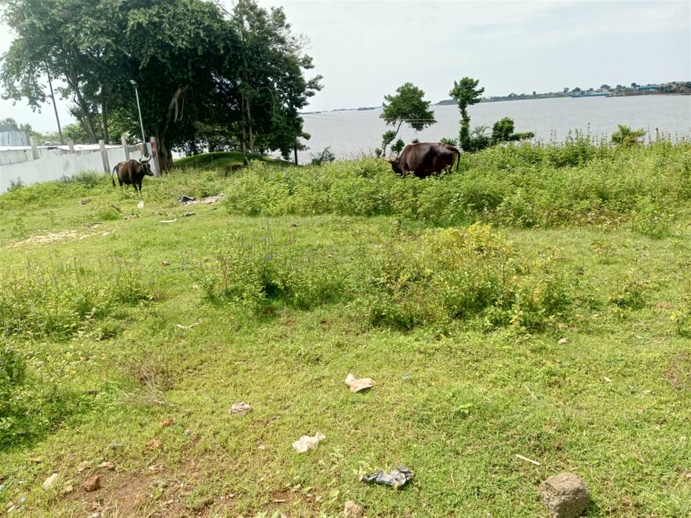 Residential Land for sale in Entebbe Wakiso