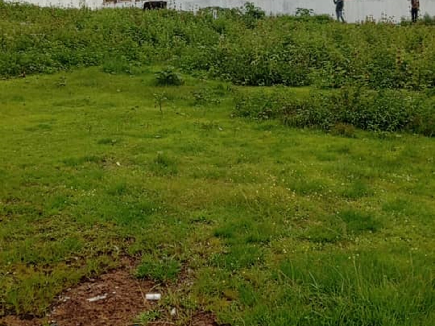 Residential Land for sale in Entebbe Wakiso