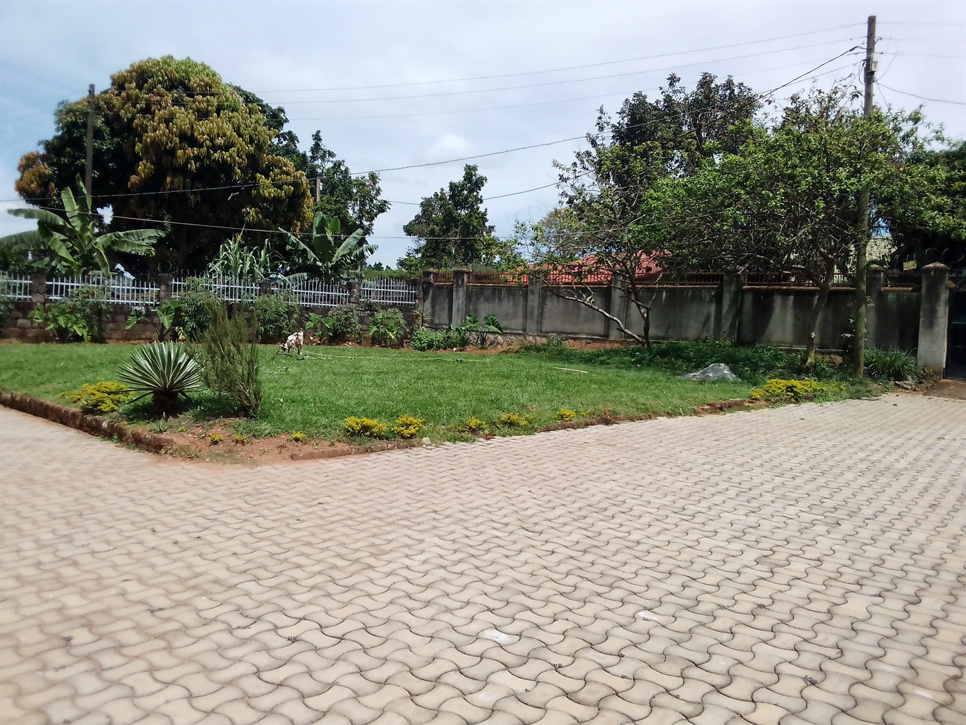 Bungalow for sale in Entebbe Wakiso