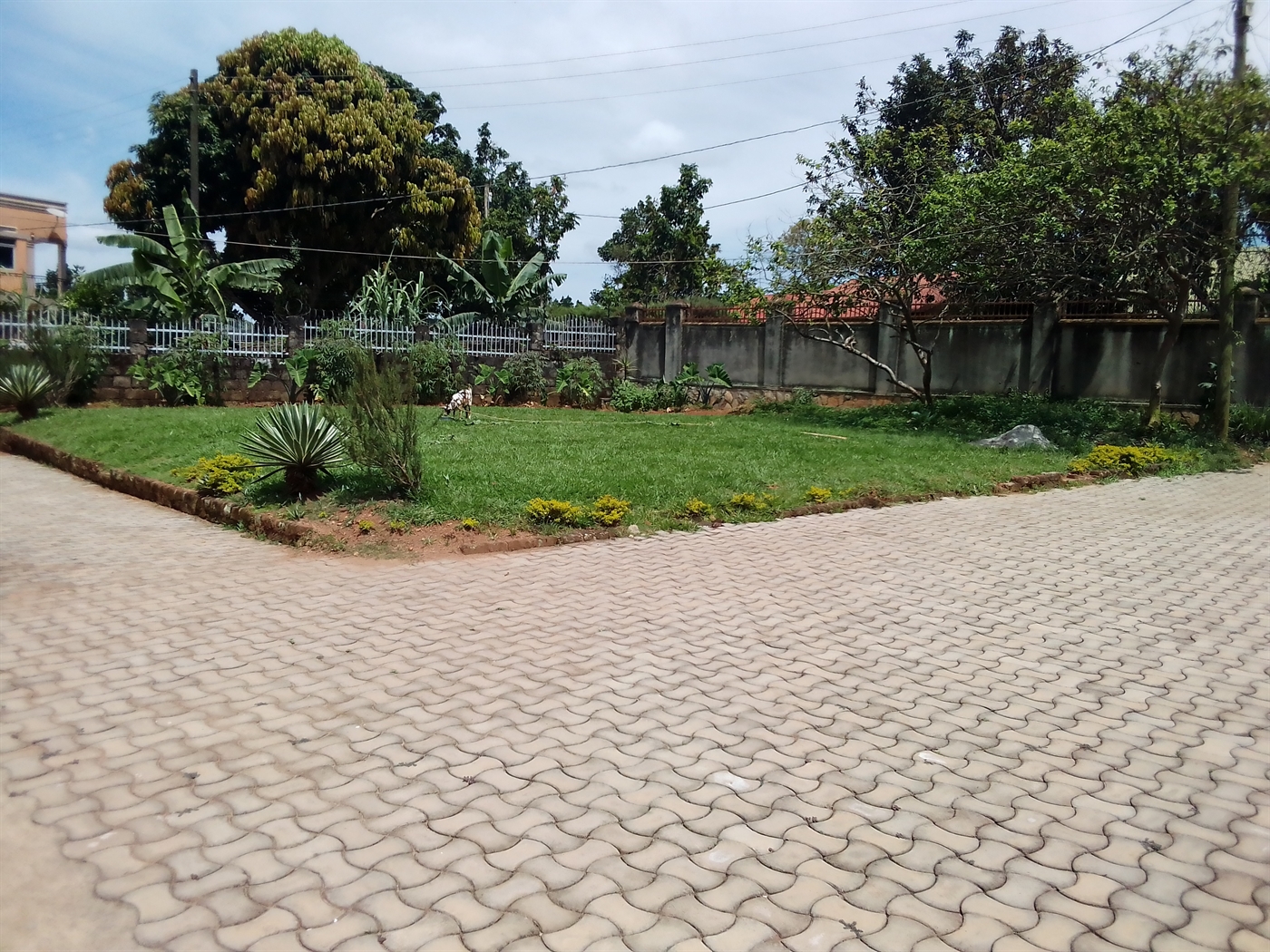 Bungalow for sale in Entebbe Wakiso