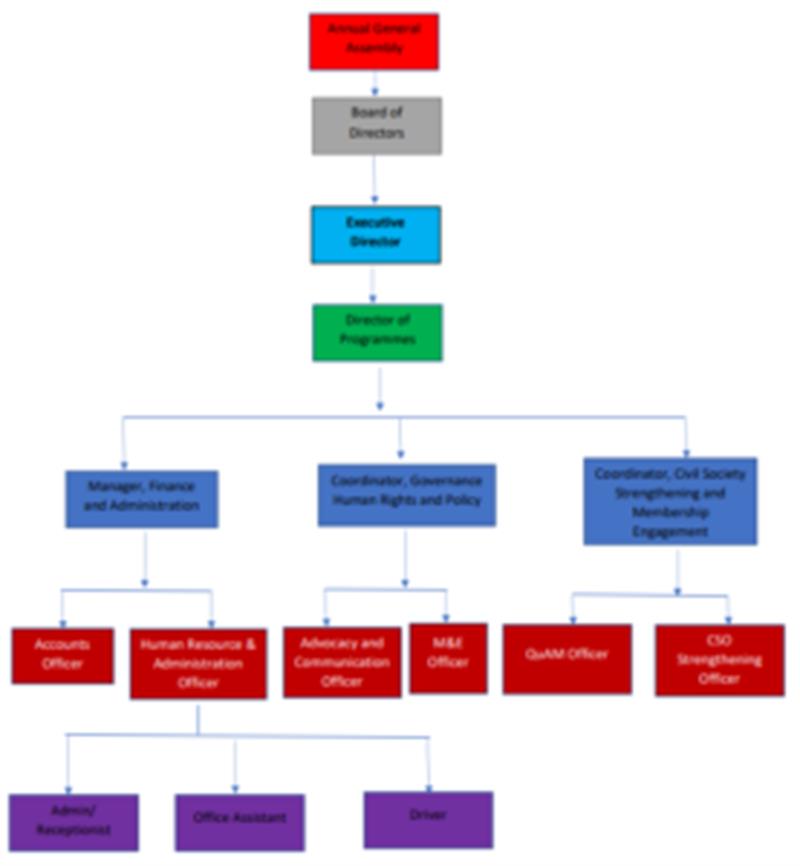 Organization structure