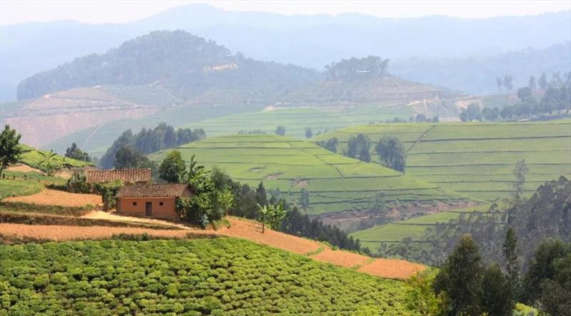 Rwanda blogs