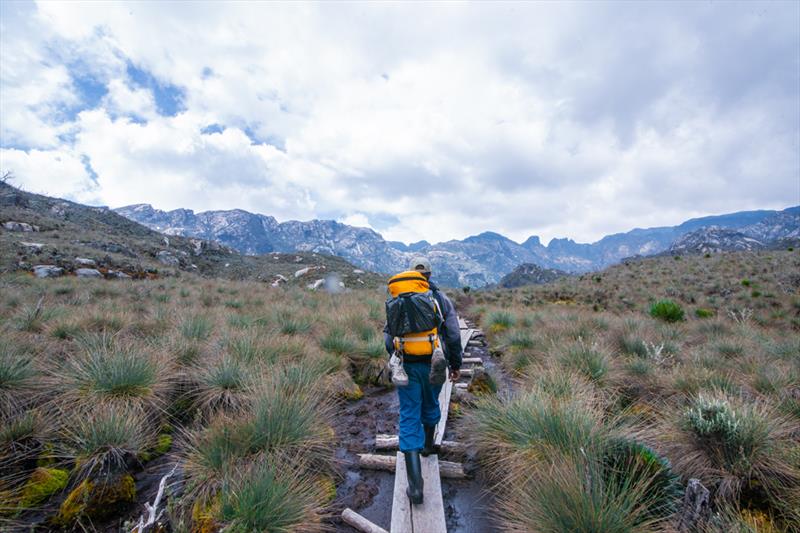 Uganda Hiking Safaris*